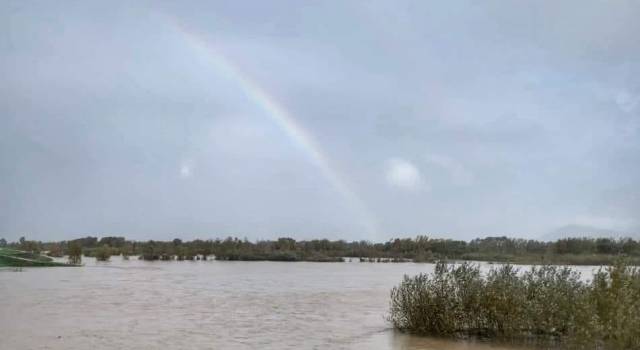 Ombrone in piena: &#8220;Chi risiede a meno di 400 metri dal fiume lasci immediatamente la propria abitazione&#8221;