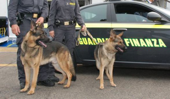 La GdF con il cane anti-droga setaccia la Garfagnana nel week-end