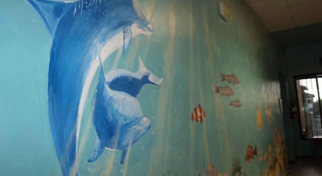 Marina di Pisa, pesci tropicali e delfini nuotano…nella sala di attesa del distretto