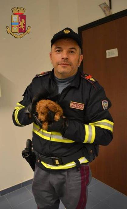 GROSSETO In auto con 7 cuccioli bagnati e senza cibo bloccati dalla Polstrada. FOTO 5