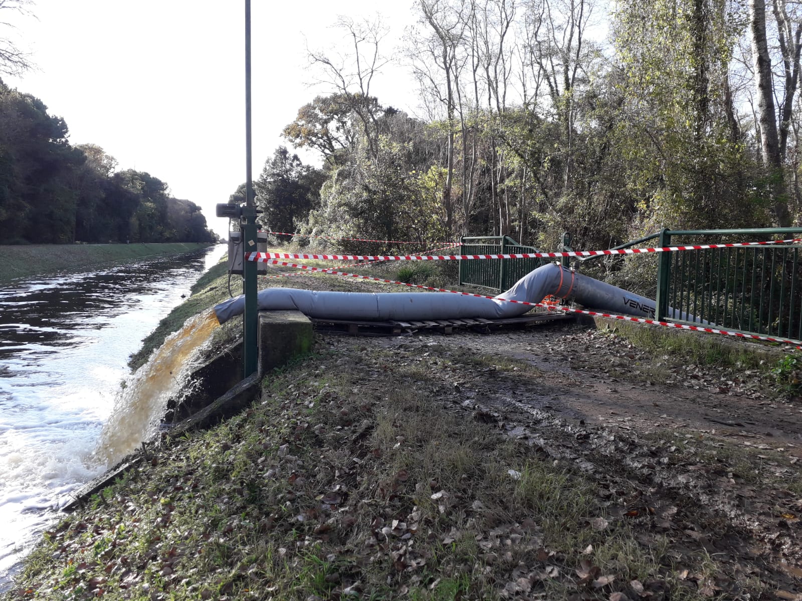 Allagamenti della Pineta a Torre del Lago: istallata dal Consorzio un ulteriore gazzina, capace di sollevare 500 litri al secondo.