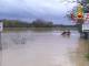 Grossetano sott’acqua, i pompieri portano in salvo alcuni animali (video)