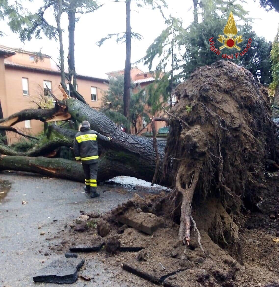 Maltempo, la giunta toscana dichiara lo stato di emergenza regionale