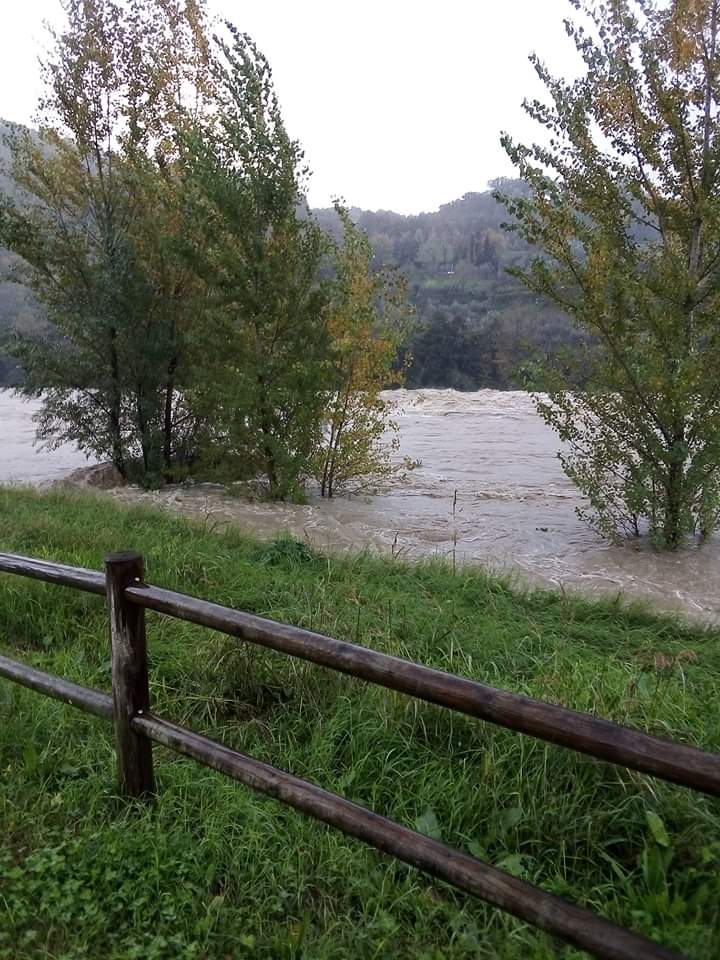 Arno a Firenze sopra il livello di guardia: guarda il video