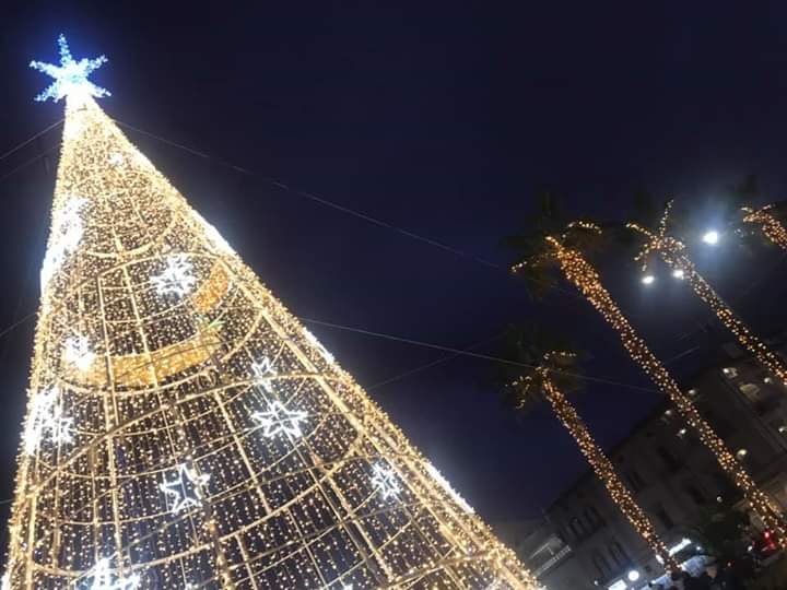 Aspettando Natale: luci accese dal molo a piazza Puccini, per un totale di 500mila lampadine, con il tradizionale albero di 15 metri in piazza Mazzini