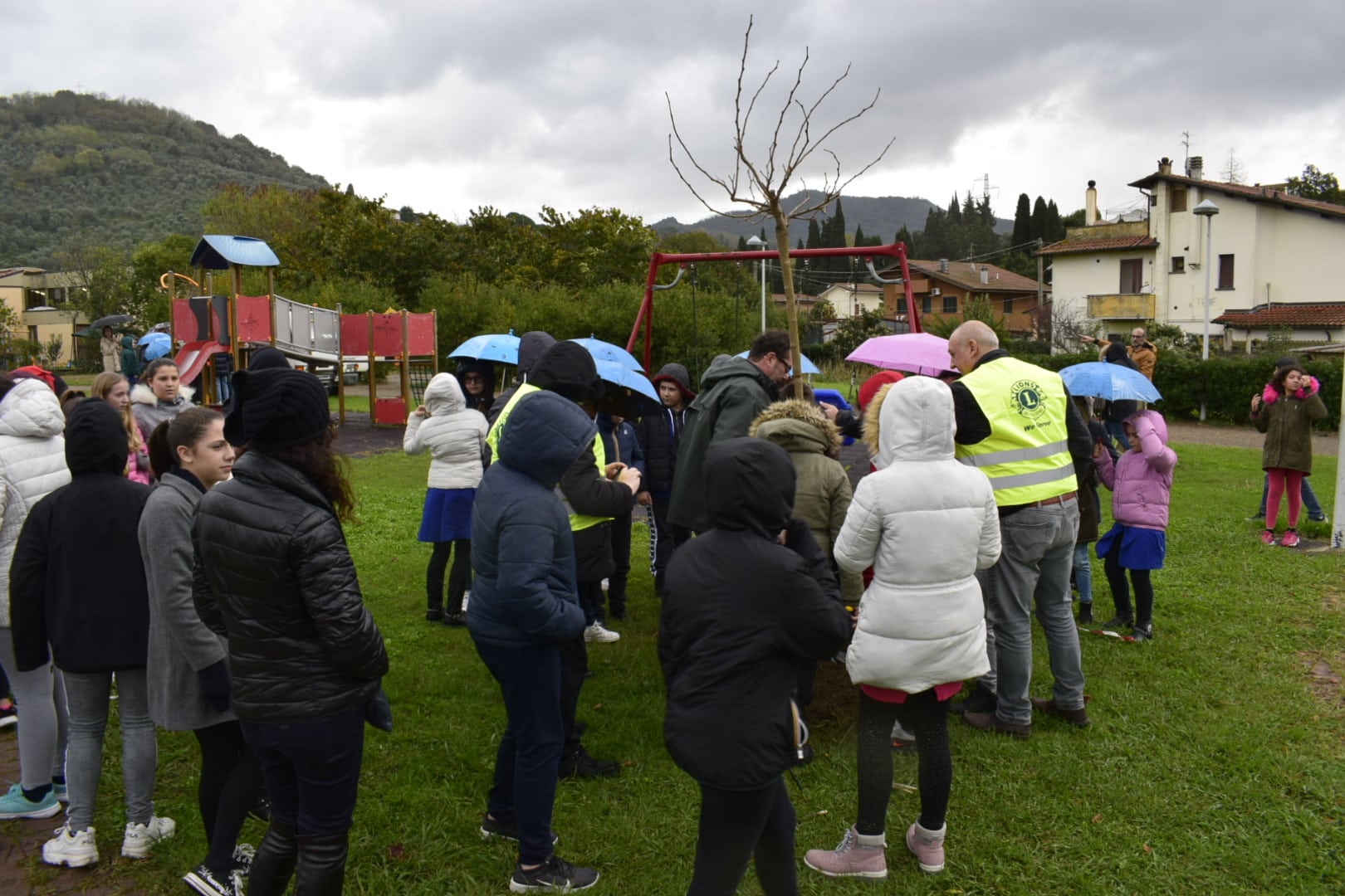 festa albero3