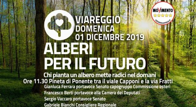 &#8220;Alberi per il futuro&#8221; , l&#8217;iniziativa del senatore Ferrara oggi a Viareggio