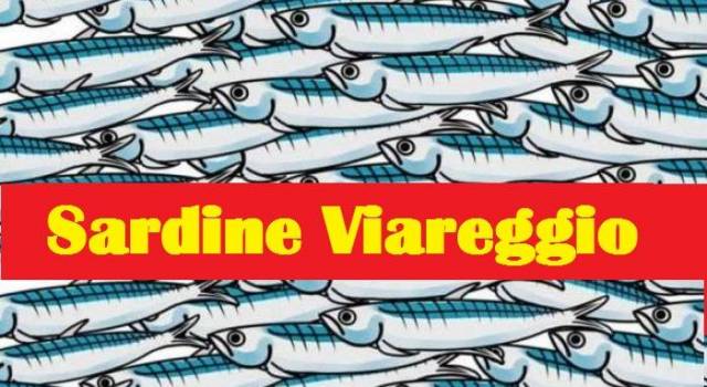 Domani Sardine in piazza a Viareggio: intervengono anche don Luigi Sonnenfeld e Maurizio Verona