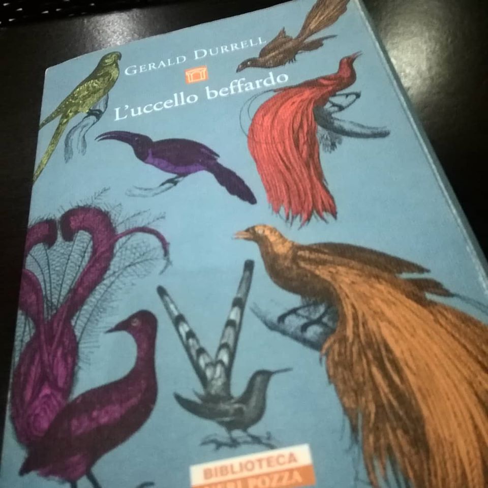 “L’uccello beffardo” [Recensione libro]