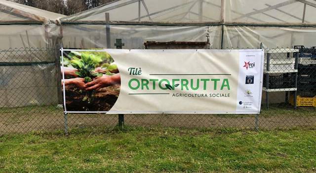 Verdure di stagione a metri zero, recupero dei terreni gestiti da due rifugiati: presentato a Viareggio il progetto di Arci e Uovo di Colombo