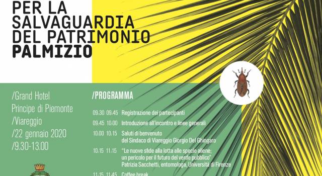 «Tecniche biologiche per la salvaguardia del patrimonio palmizio», workshop a Viareggio
