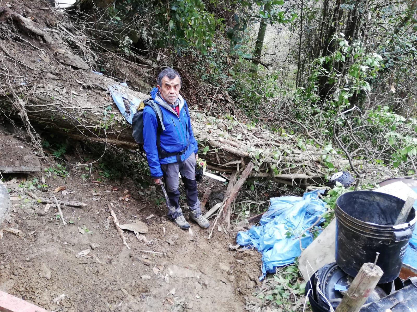 Albero caduto sul sentiero 7, tratto Cardoso Collemezzana