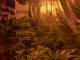 Coltiva cannabis nell’orto di casa a Camaiore, denunciato