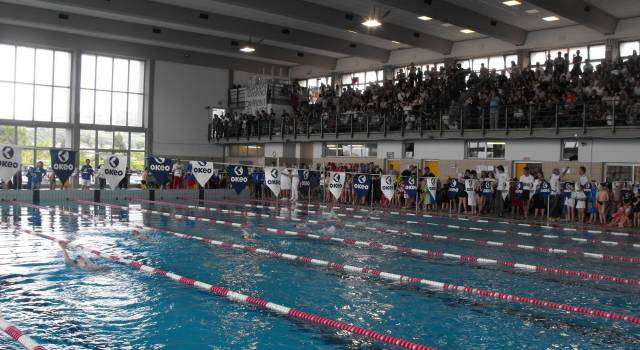 Nuoto, al via il 14° Trofeo Città di Massarosa