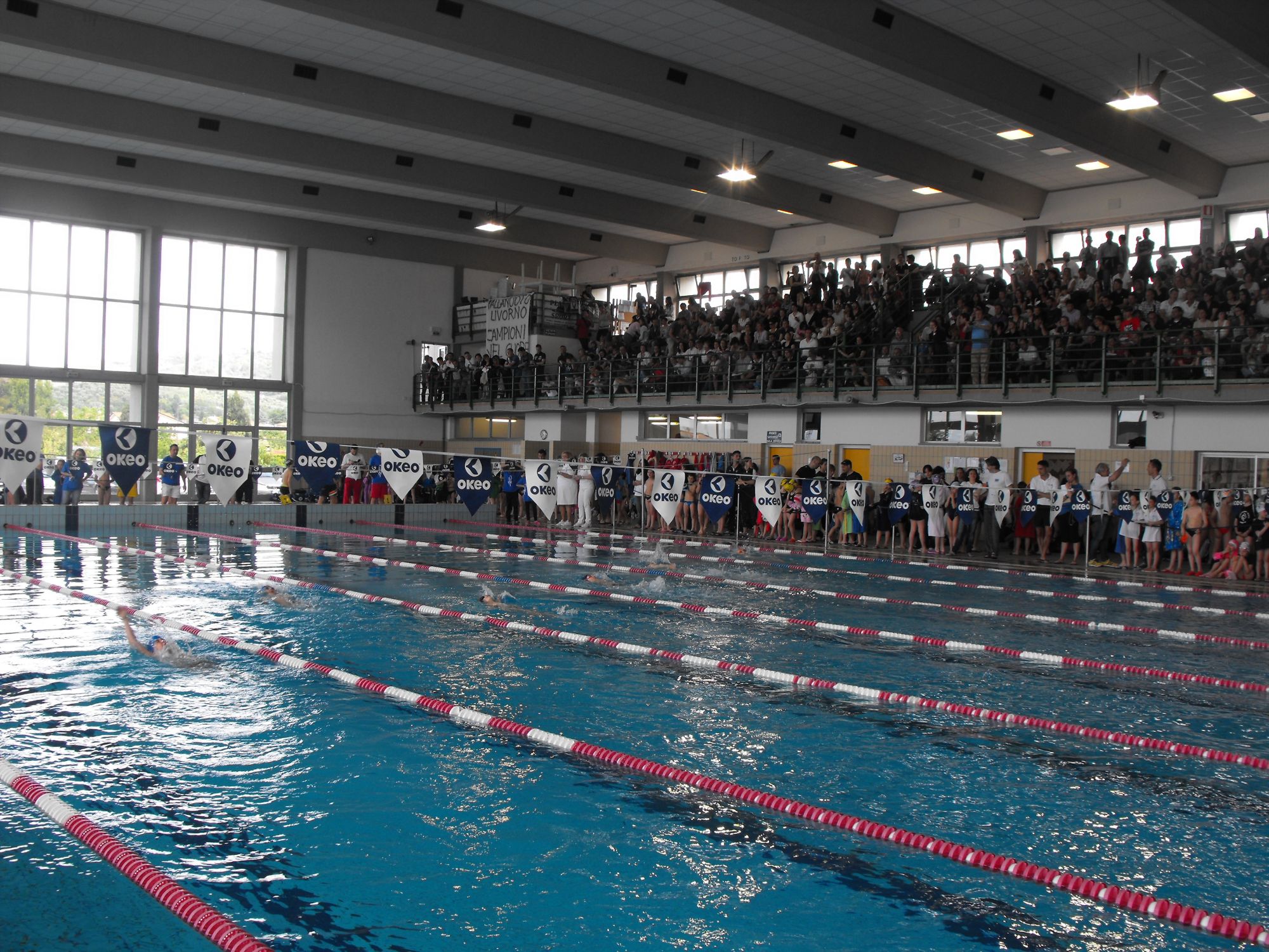 Meeting di nuoto massima disponibilità per un futuro di crescita a Massarosa