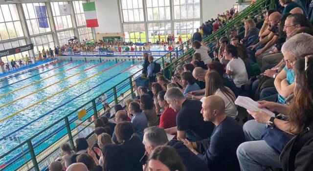 Nuoto, 490 atleti per il Trofeo Città di Massarosa