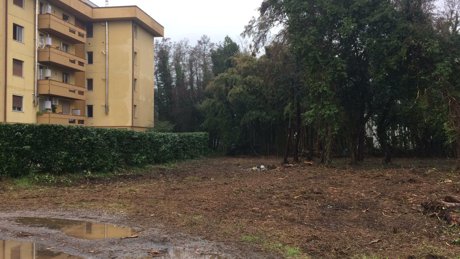 Foto pulizia terreni via Martiri Cefalania Pietrasanta.jpeg