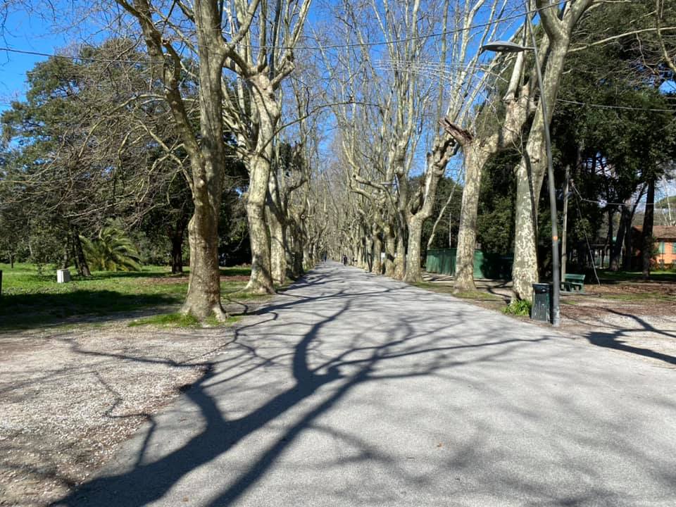 Coronavirus, la pineta di ponente di Viareggio deserta: il video