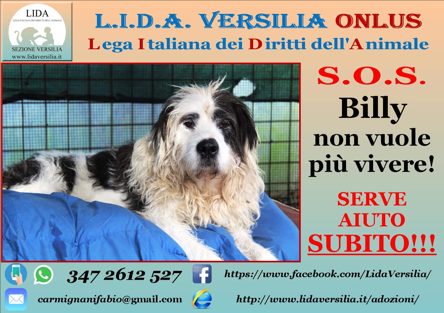 Appello per Billy Copertina