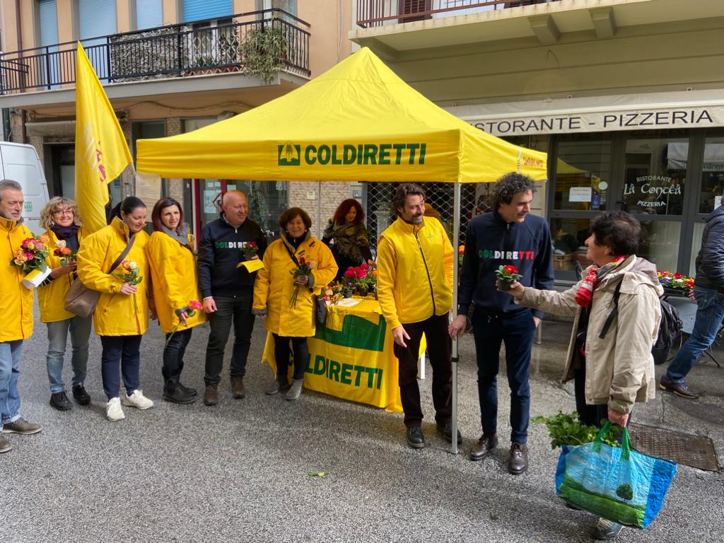 Coronavirus, milioni di fiori e piante in vaso da buttare: il dramma in Versilia