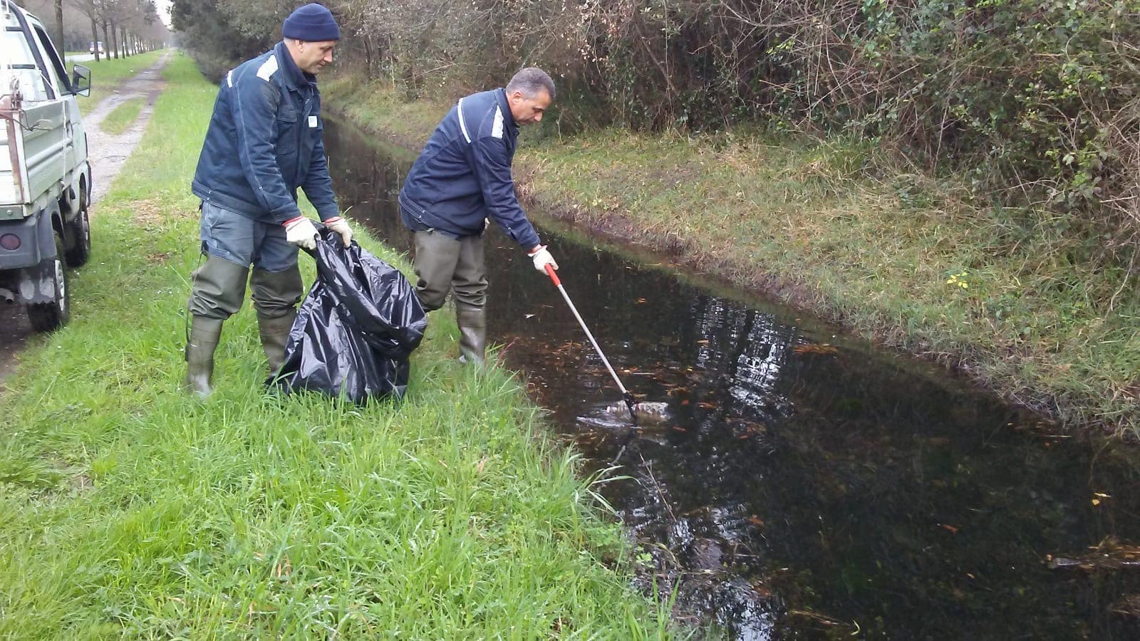 Bonifica: trovati i tritoni durante la pulizia dei fossi nella pineta di Levante