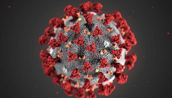 Coronavirus: 559 nuovi casi, età media 38 anni e sette decessi