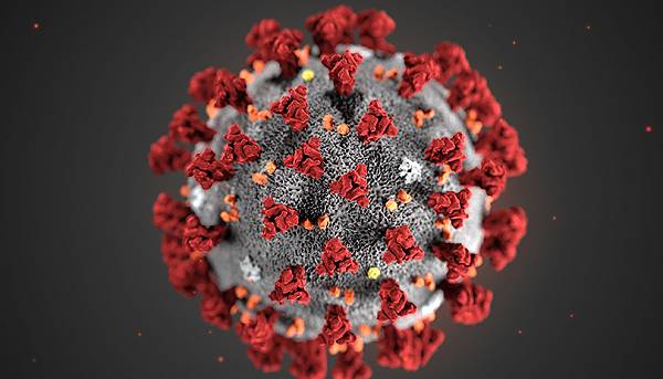 Coronavirus, l&#8217;Oms: &#8220;Inevitabili nuovi focolai anche dopo la riapertura&#8221;