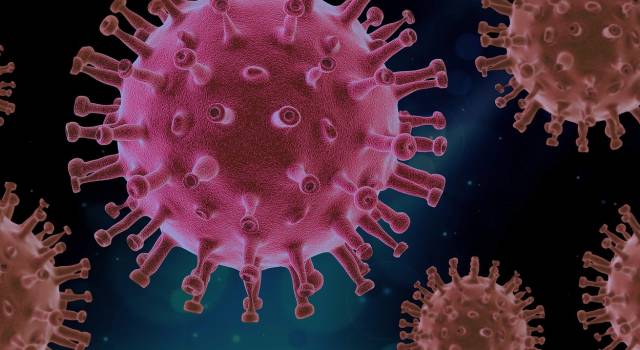 Coronavirus: 3 nuovi casi, 1 decesso e 91 guarigioni