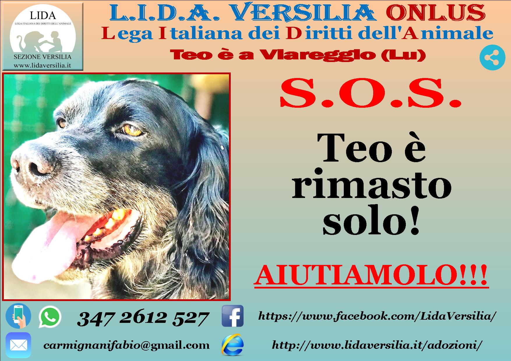 Appello per Teo Copertina