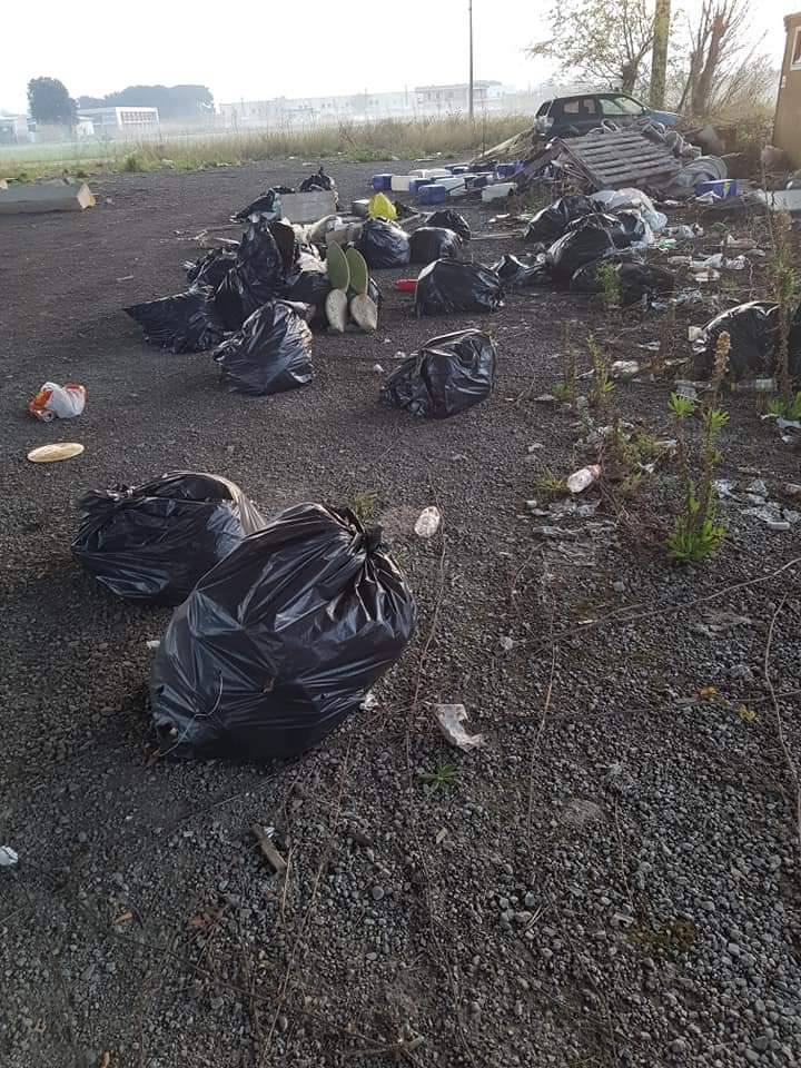 Fare Verde Versilia segnala discarica abusiva nella zona “ex mercato dei fiori”