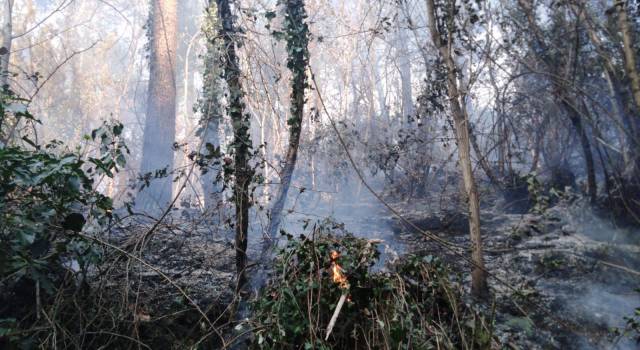 Incendio a Camaiore, fiamme in zona Nocchi