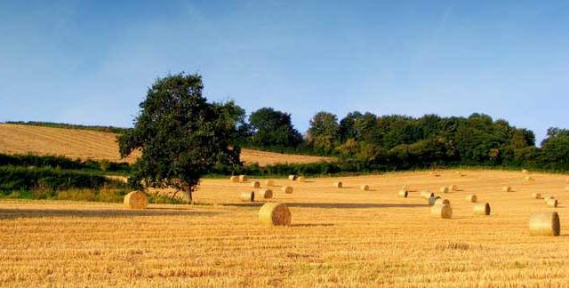 Agricoltura, bando da 3 milioni per Garfagnana, Lunigiana, Media Valle del Serchio e Appennino Pistoiese