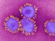 Coronavirus: sono 106.962 i positivi in Italia