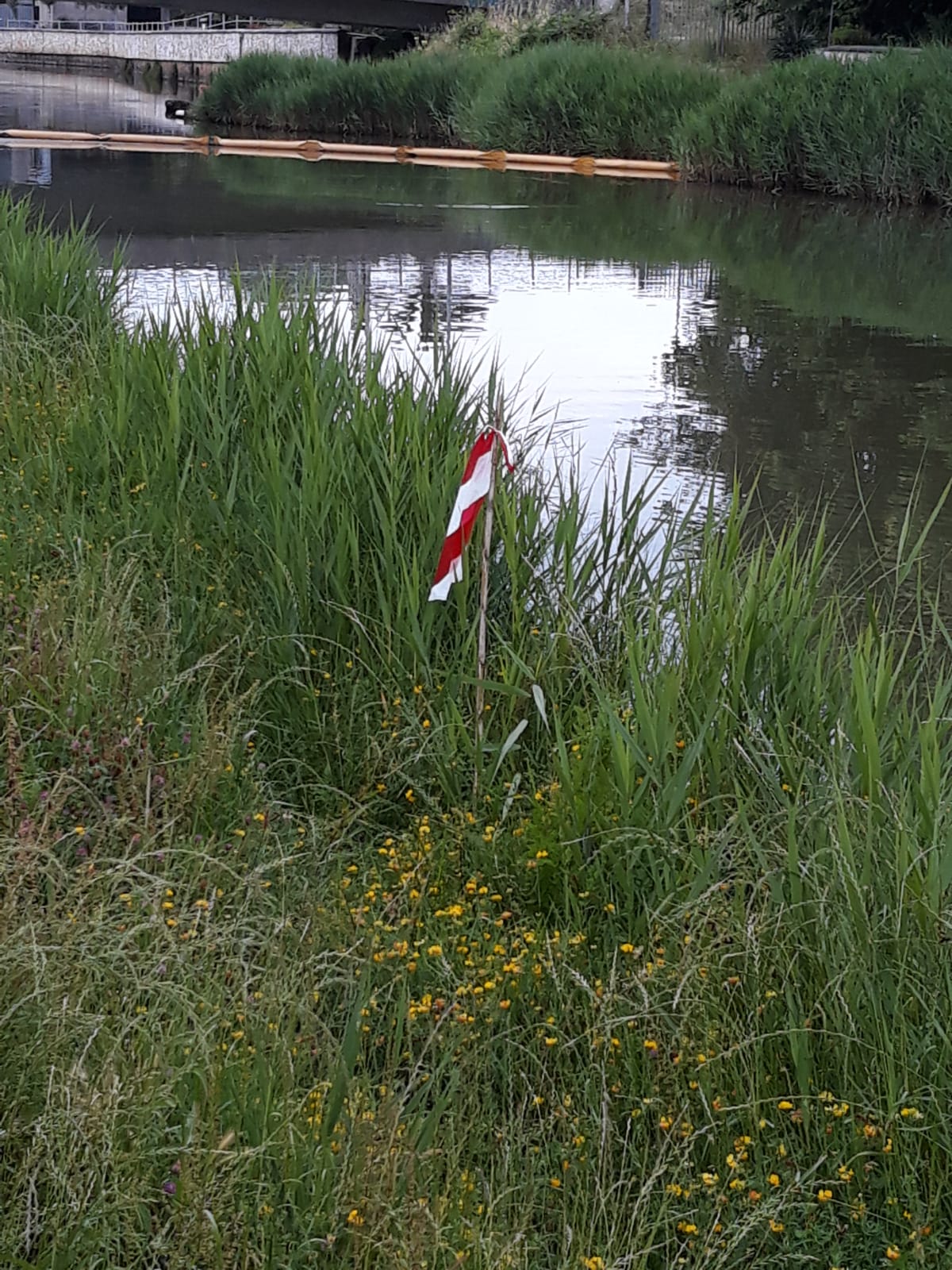 Ogni nido una bandierina rossa. Iniziano le attività di manutenzione dei corsi d’acqua