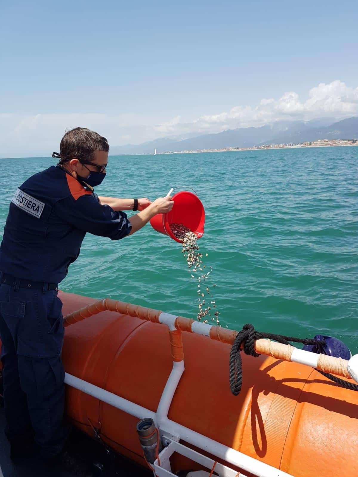 Sequestrati 10 chili di arselle, un cittadino chiama la Capitaneria per segnalare pescatori “abusivi”