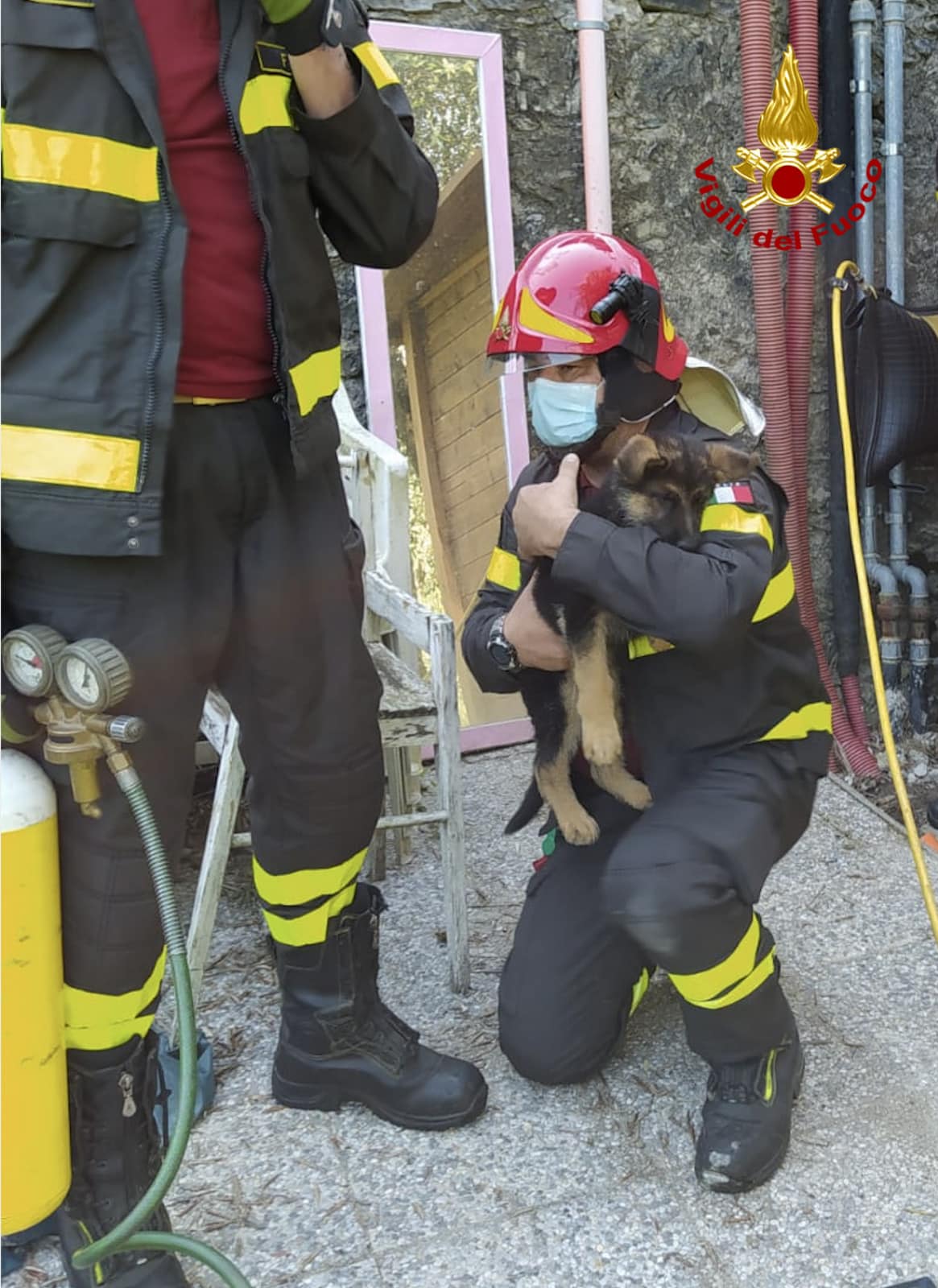 Resta incastrato con la testa tra un muro, una struttura in legno e le tubazioni: cucciolo salvato