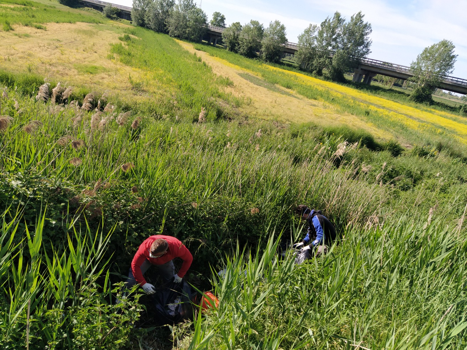 Pulizia straordinaria di fossi e canali a Massarosa