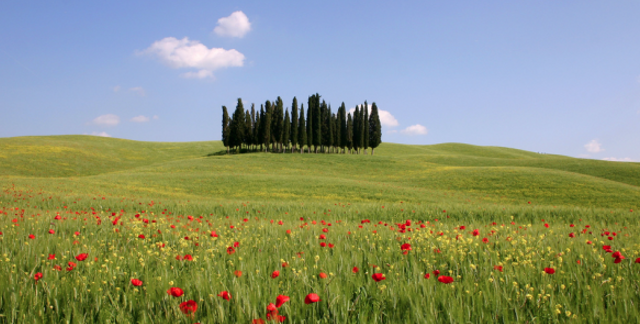 Turismo, ‘Toscana, Rinascimento senza fine’, al via la campagna per il rilancio