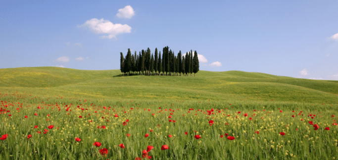 Estate in Toscana 2020, gli operatori si preparano in vista della campagna di promozione