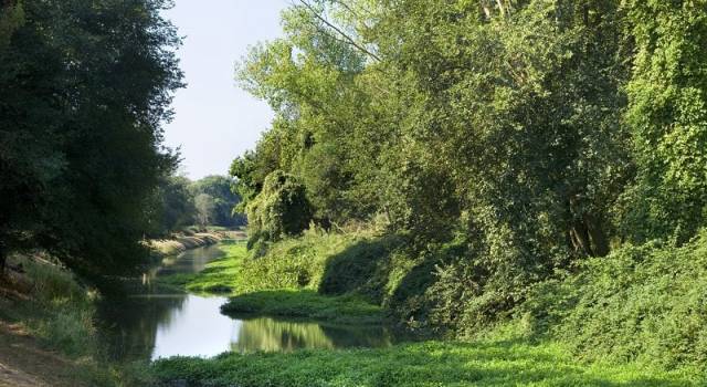 Fase 2, da lunedi 4 maggio riapre il Parco di Migliarino &#8211; San Rossore &#8211; Massaciuccoli