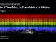 Omofobia, la Farnesina: “Impegno dell’Italia contro ogni forma di intolleranza e di discriminazione”