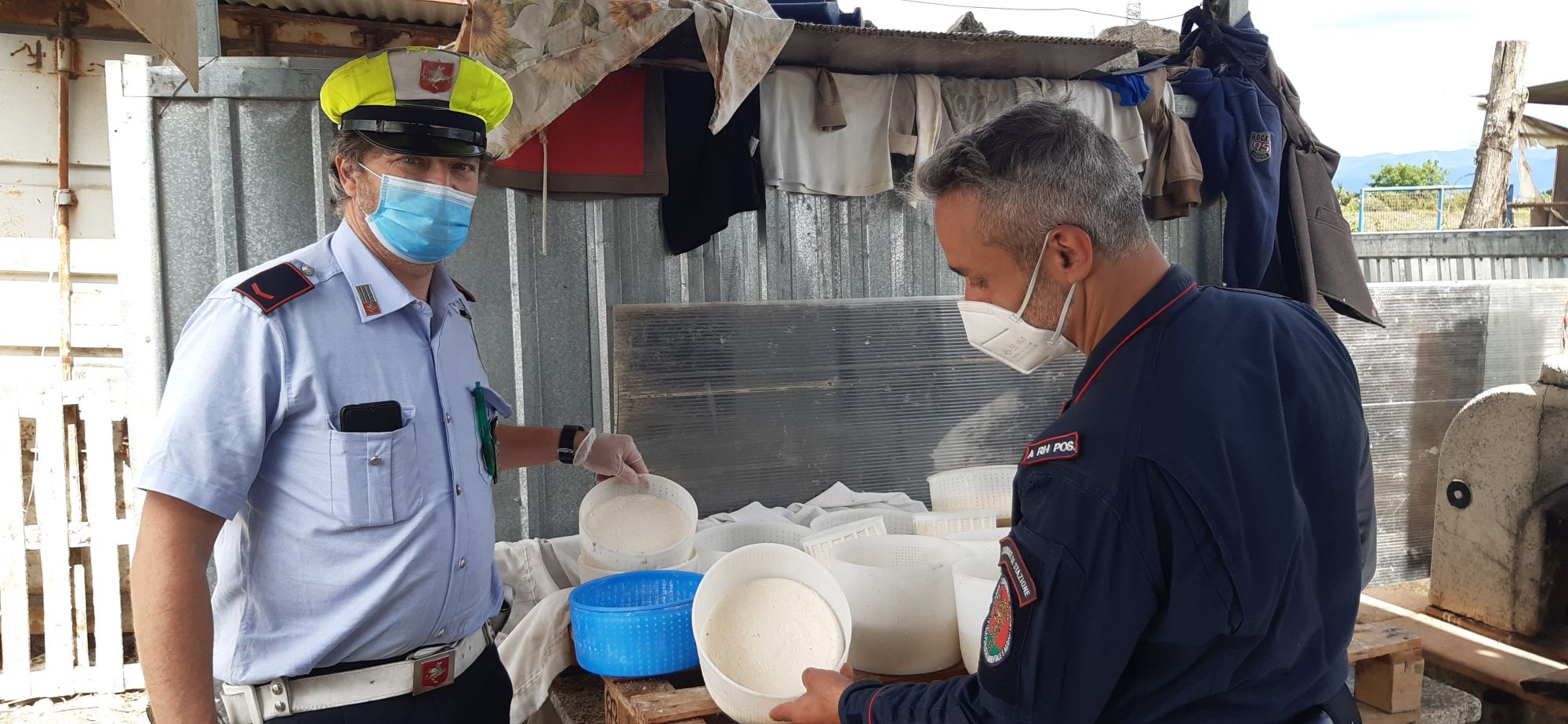 I forestali sequestrano formaggi: trovate 20 forme di pecorino in un pancale di legno sudicio