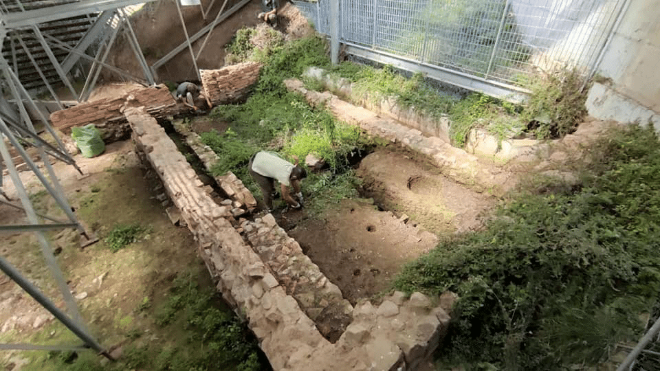 Museo Massaciuccoli