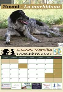 WhatsApp Image 2020 10 10 at 15.26.28