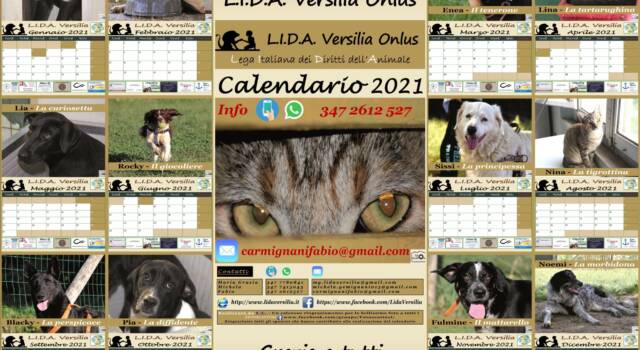 Ecco il calendario L.I.D.A. con i clic dei Fotoscattosi: il ricavato per assistere i 4 zampe in cerca di casa