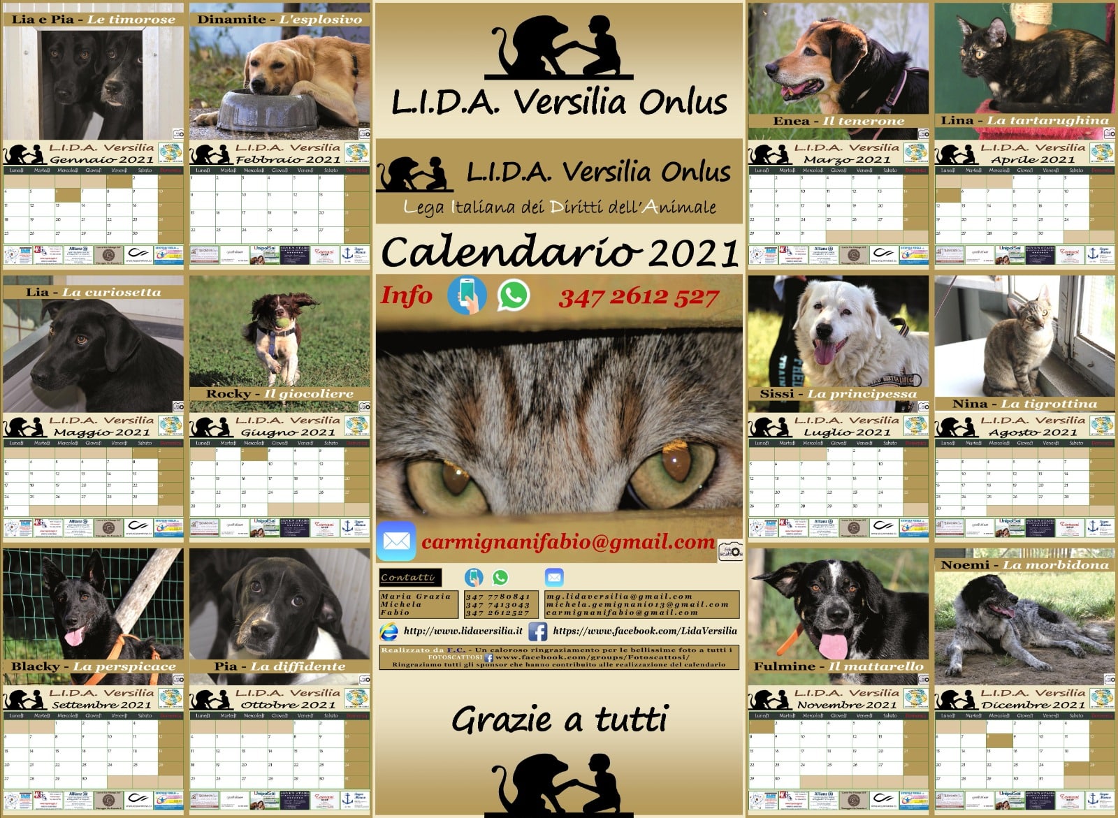 Ecco il calendario L.I.D.A. con i clic dei Fotoscattosi: il ricavato per assistere i 4 zampe in cerca di casa