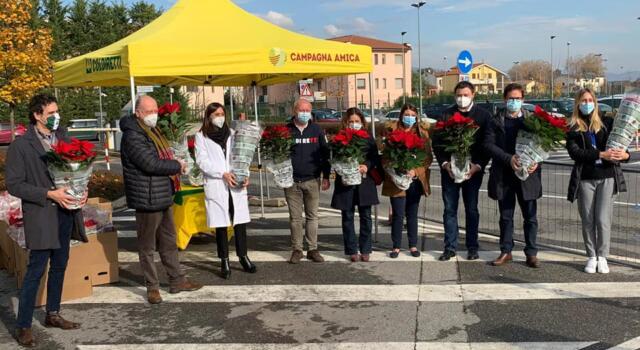 Dpcm, Coldiretti: &#8220;Salve 4 milioni di stelle di Natale&#8221;