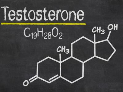 Testosterone allunga la vita! (oltre che quell’altra “cosa”…)