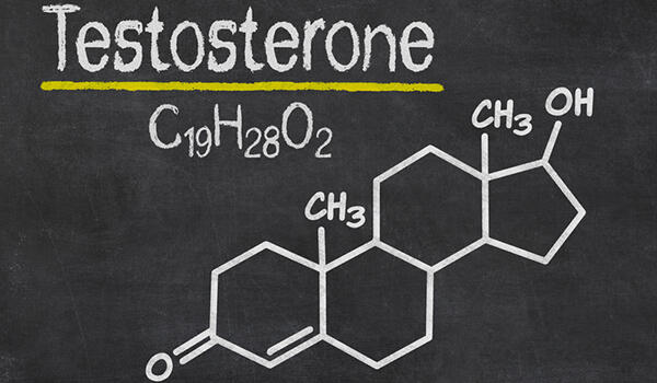 Testosterone allunga la vita! (oltre che quell&#8217;altra &#8220;cosa&#8221;&#8230;)