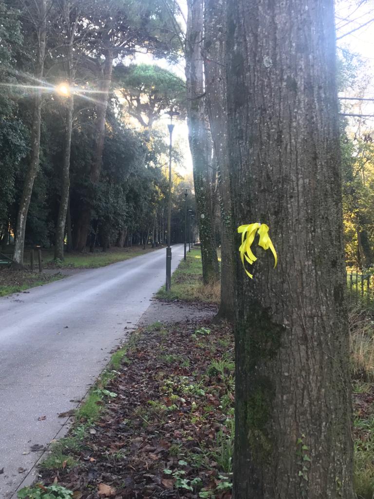 una città in giallo 3